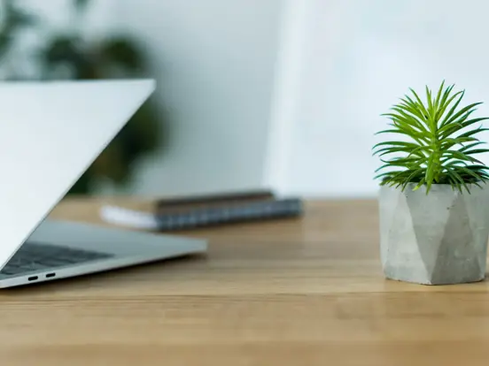 Green Laptop Website Carbon Calculator